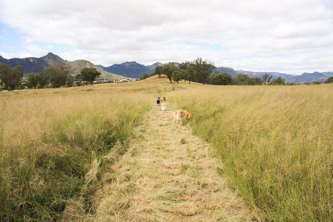 Lot 18 Glen Davis Road, Glen Davis Sold by Farmbuy.com - image 15
