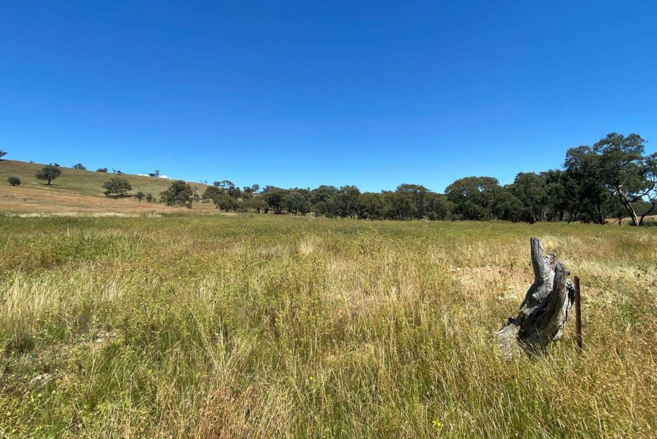 Lot 69, Campbells Creek Road, Mudgee NSW 2850 - Other (Rural) Farms NSW