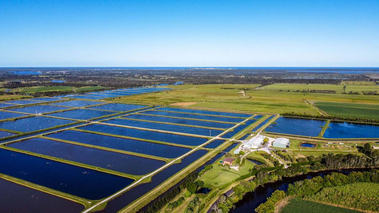 Palmers Island For Sale by Farmbuy.com - image 11