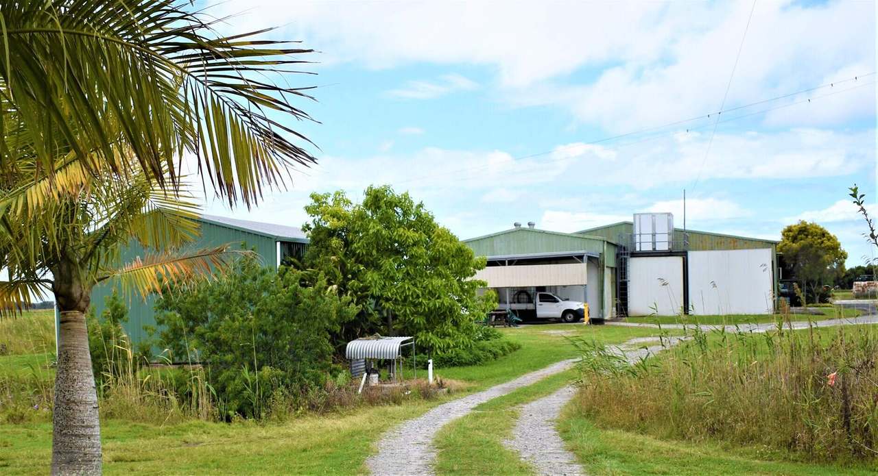 Palmers Island For Sale by Farmbuy.com - image 12