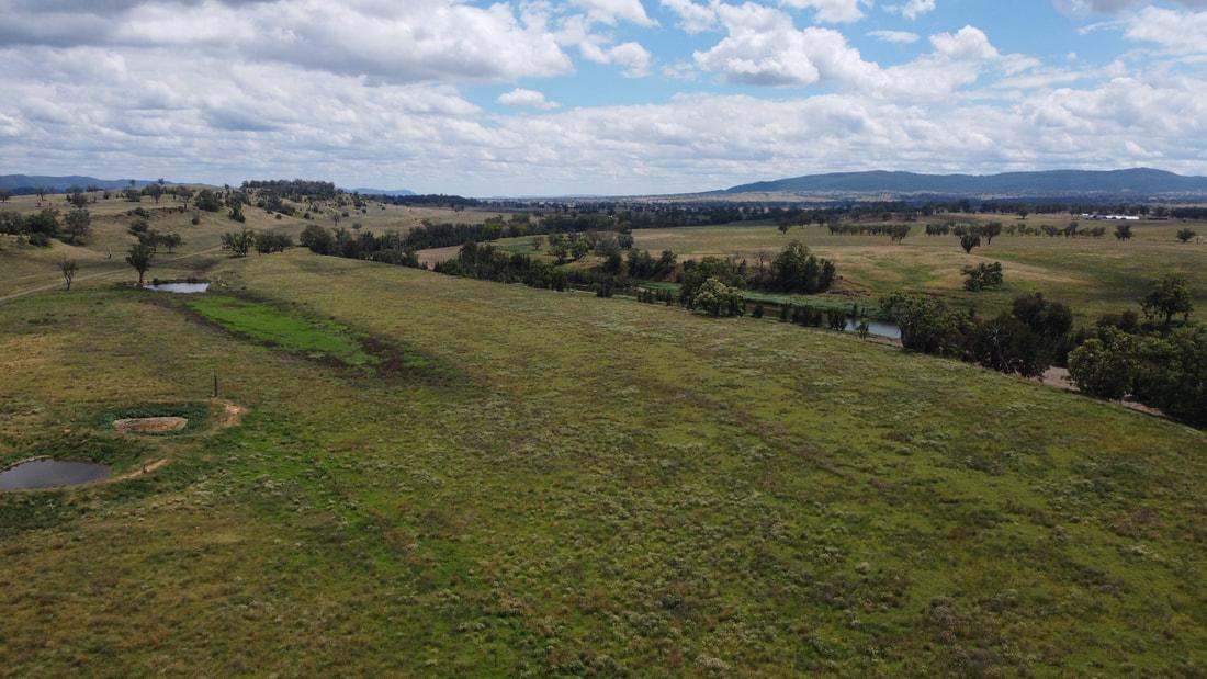 680 Caroda Road, BINGARA Sold by Farmbuy.com - image 2