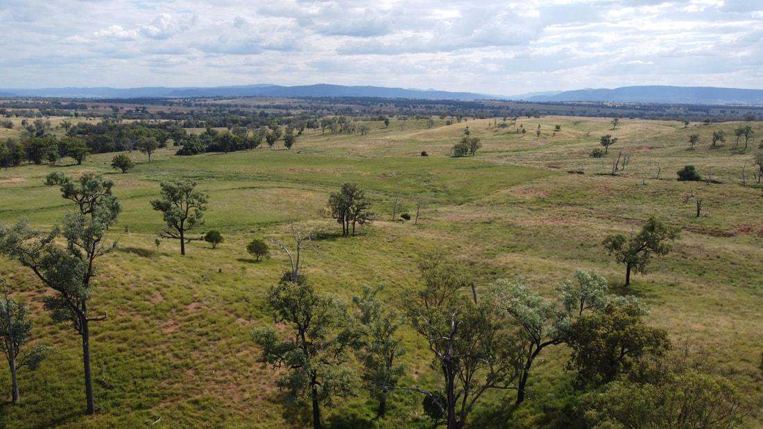 83 Kellys Access Road, Bingara Sold by Farmbuy.com - image 12