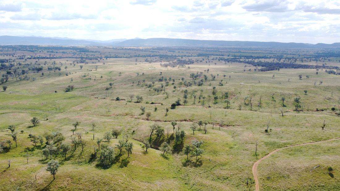 83 Kellys Access Road, Bingara Sold by Farmbuy.com - image 11