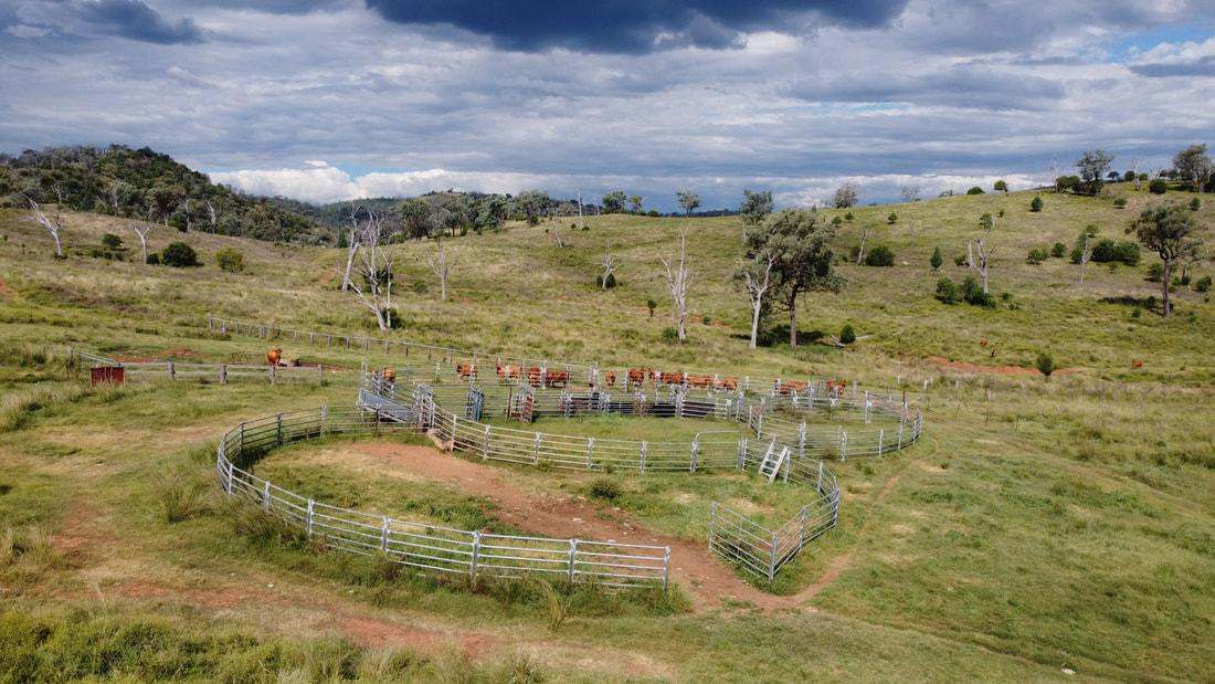 83 Kellys Access Road, Bingara Sold by Farmbuy.com - image 8