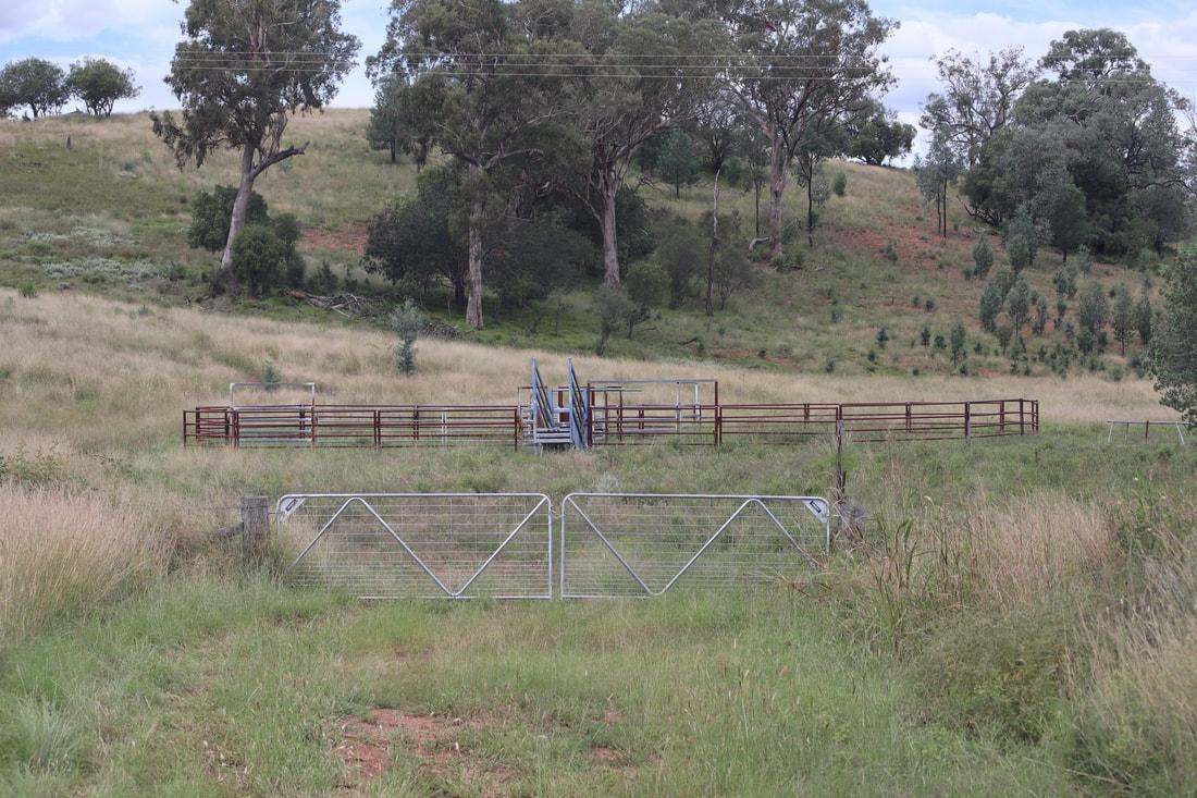 801 Delungra Road, BINGARA Sold by Farmbuy.com - image 13