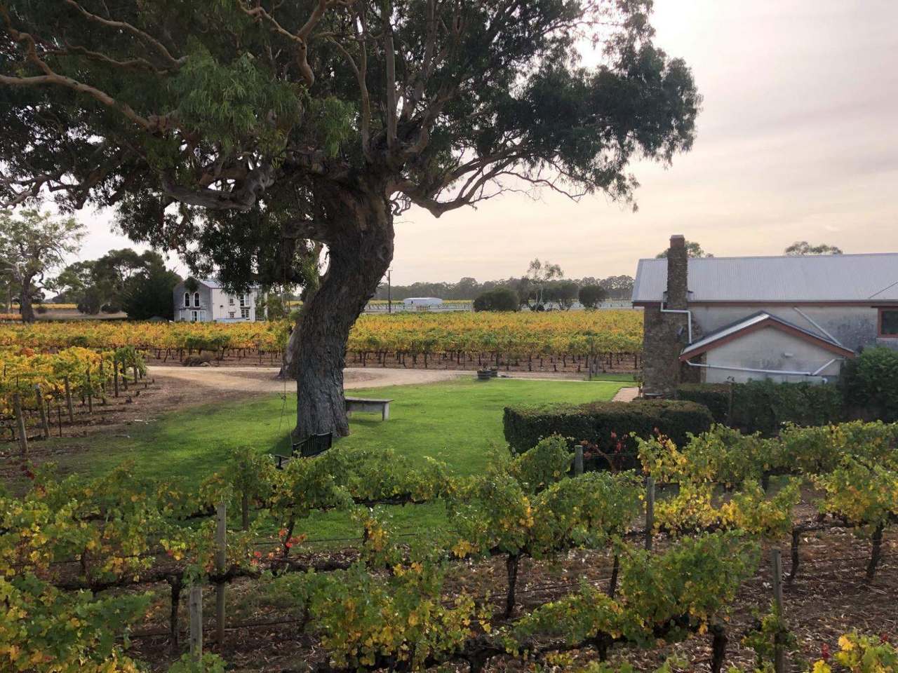 ***UNDER OFFER*** 11 Maaoupe Road, Coonawarra Sold by Farmbuy.com - image 23