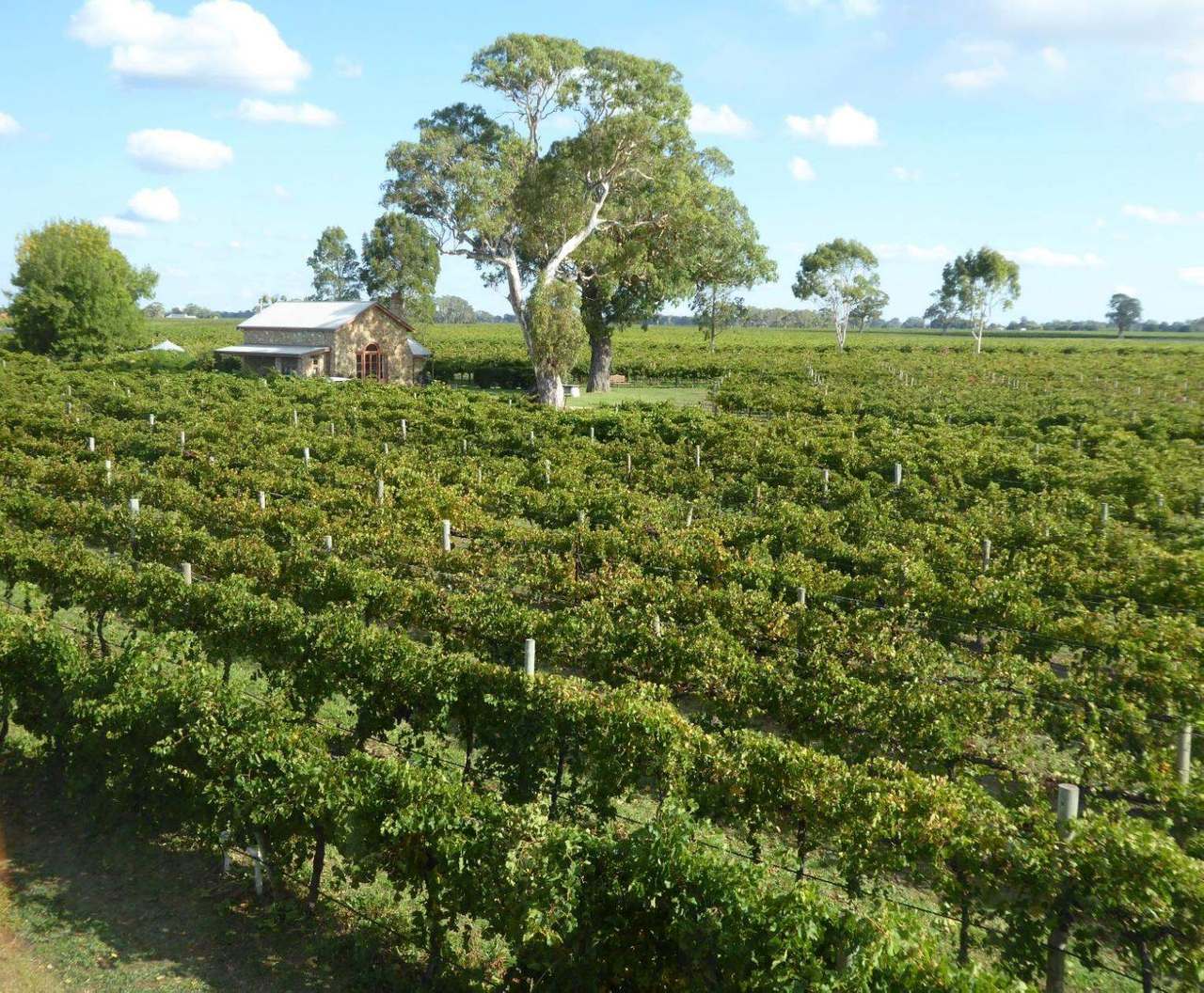 ***UNDER OFFER*** 11 Maaoupe Road, Coonawarra Sold by Farmbuy.com - image 24