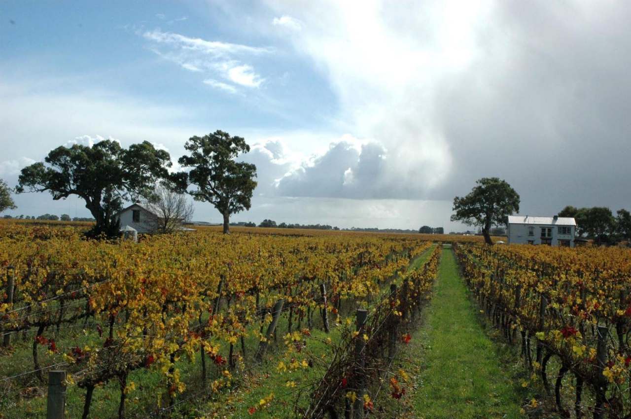 ***UNDER OFFER*** 11 Maaoupe Road, Coonawarra Sold by Farmbuy.com - image 22
