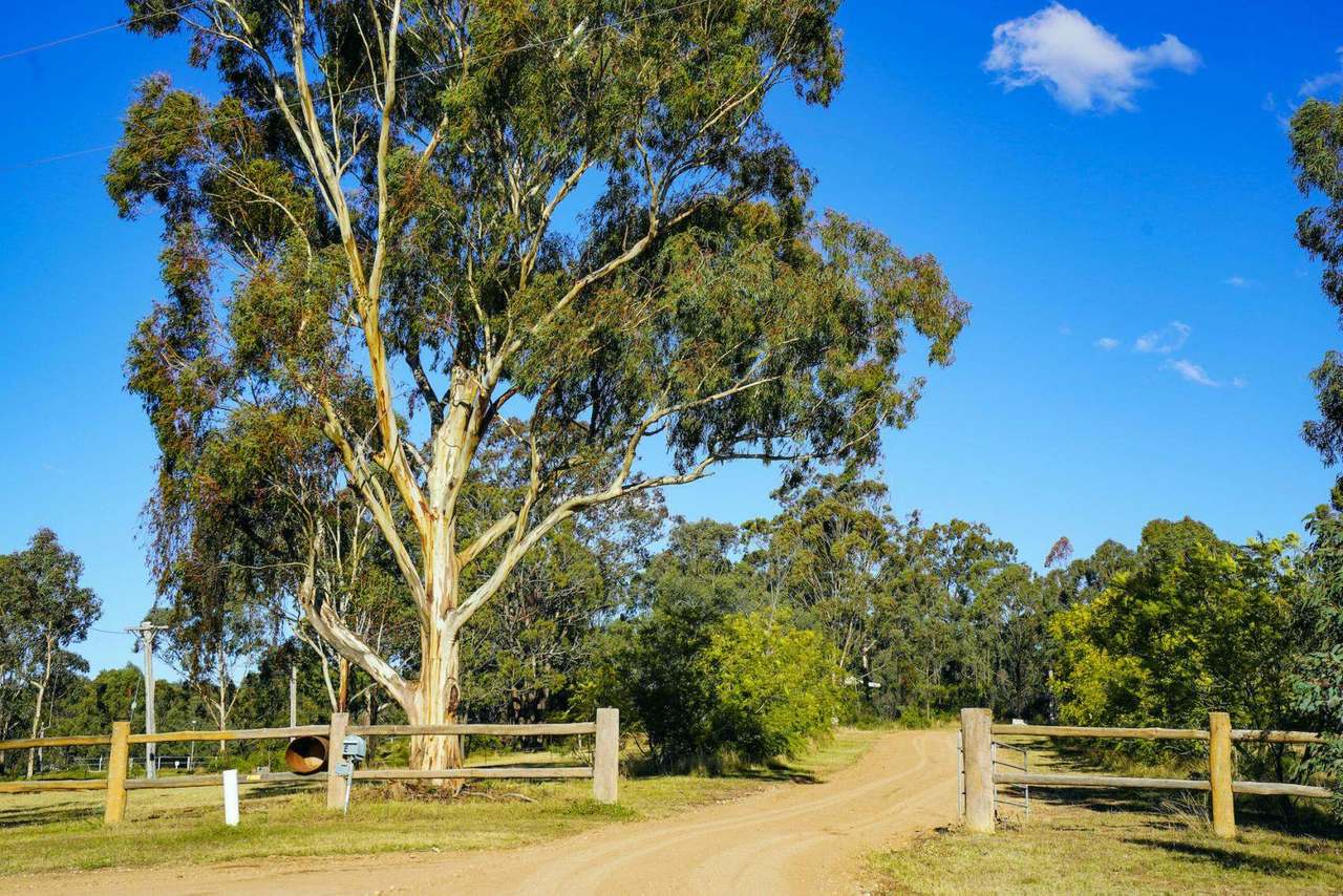355E Redmanvale Road, Jerrys Plains Sold by Farmbuy.com - image 3