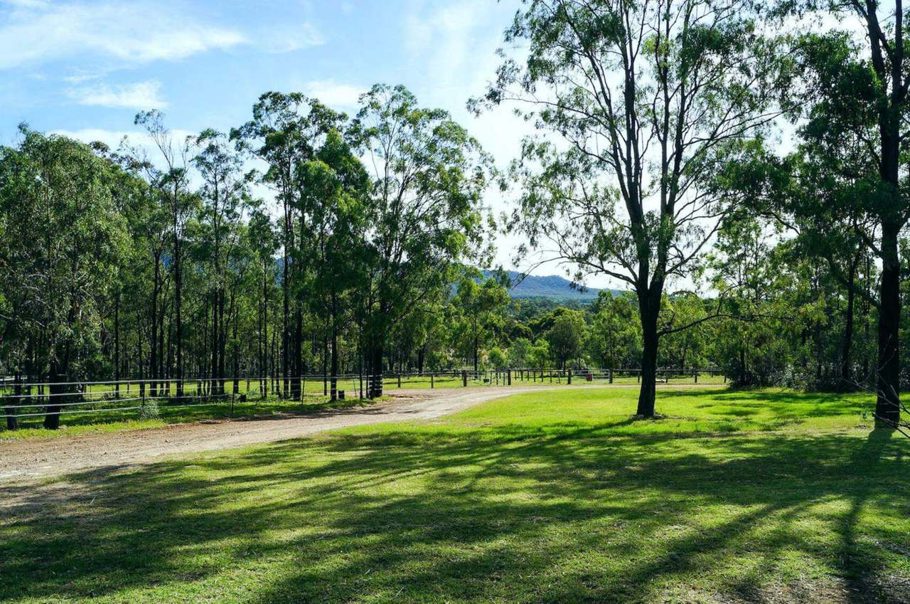 355E Redmanvale Road, Jerrys Plains Sold by Farmbuy.com - image 4