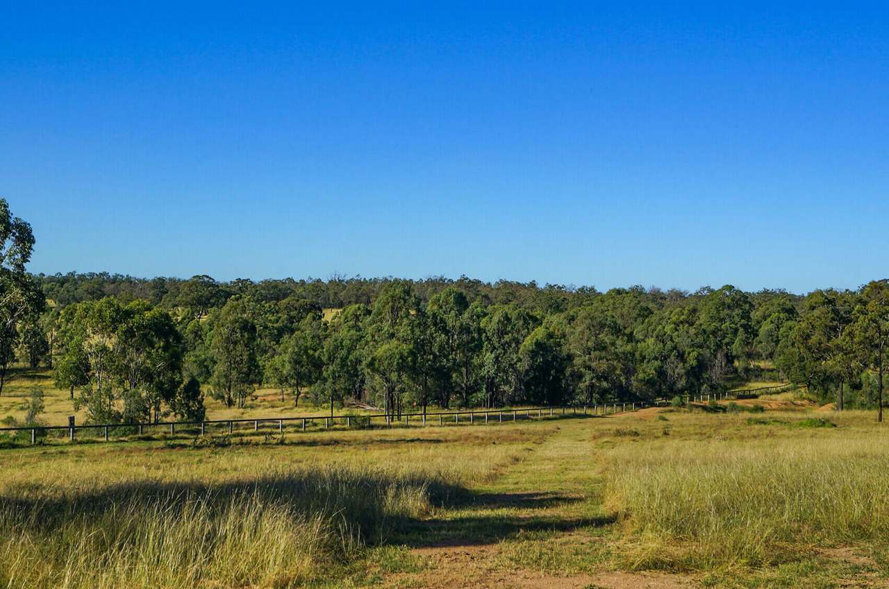 355E Redmanvale Road, Jerrys Plains Sold by Farmbuy.com - image 15