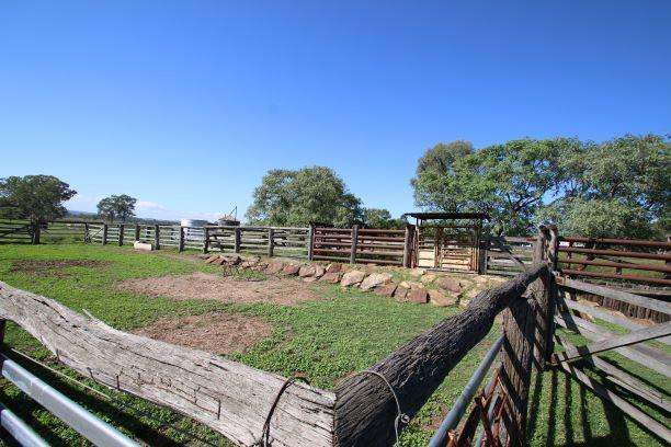 553 Airport Road, Monto  For Sale by Farmbuy.com - image 16