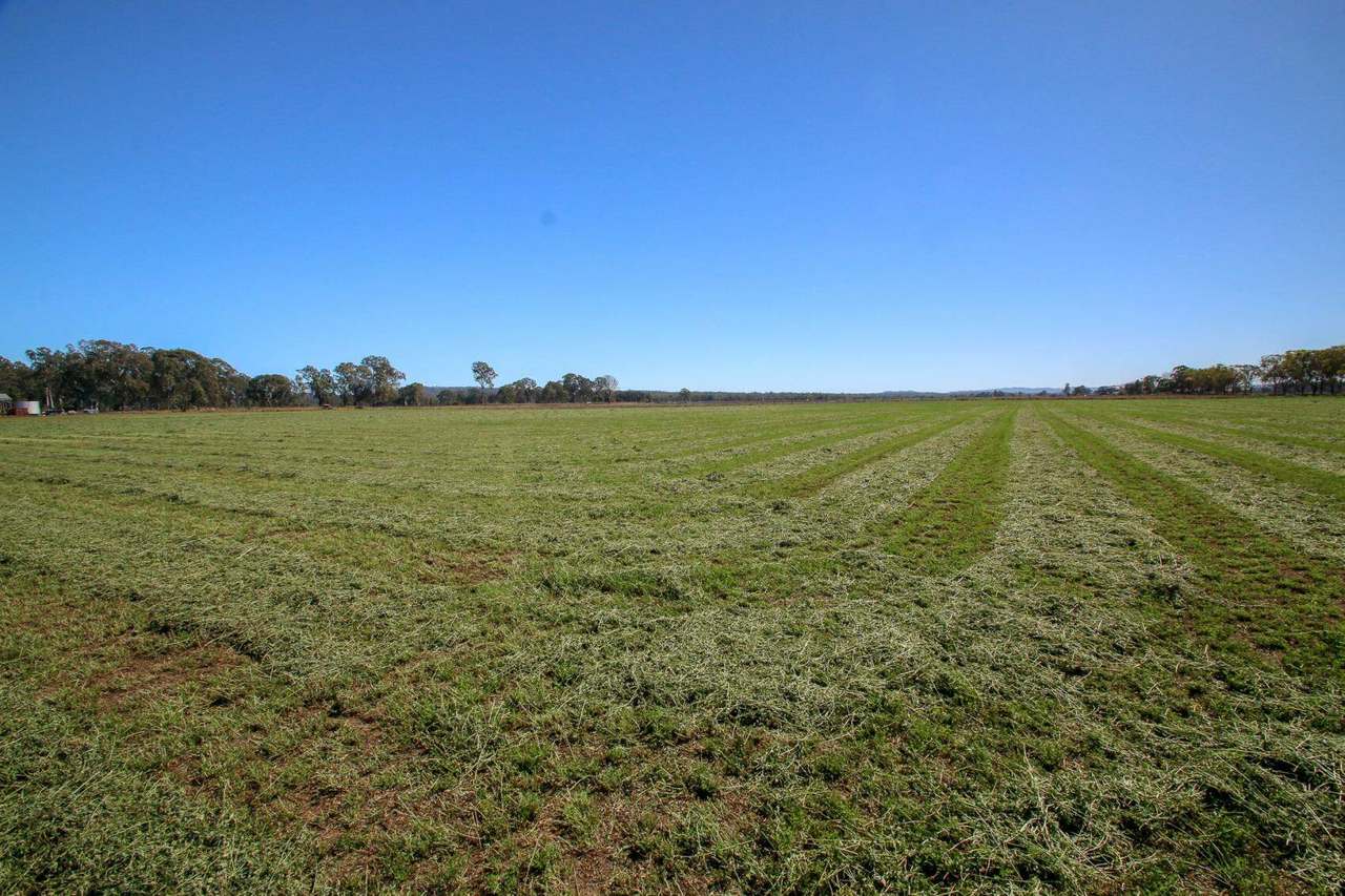 553 Airport Road, Monto  For Sale by Farmbuy.com - image 3