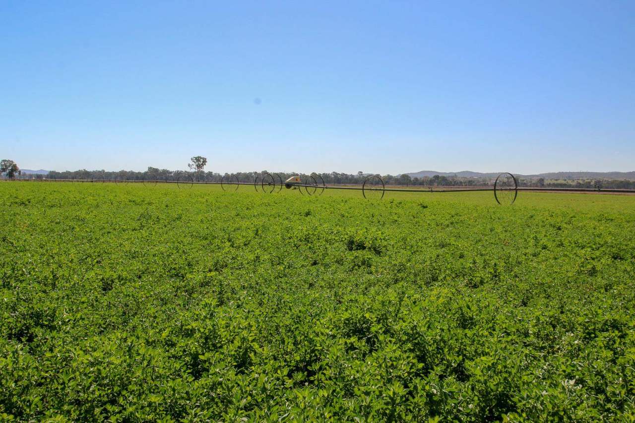 553 Airport Road, Monto  For Sale by Farmbuy.com - image 5