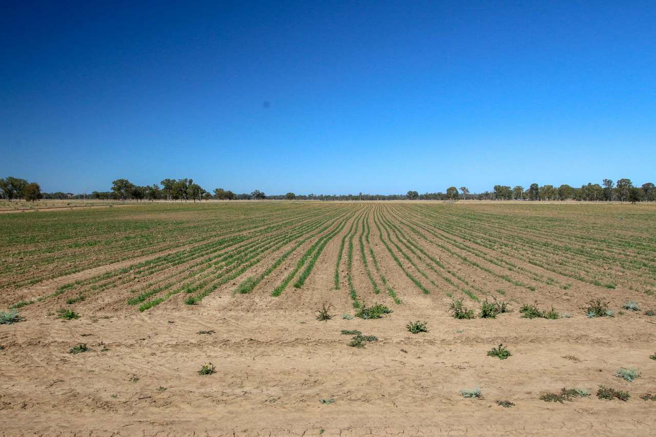 553 Airport Road, Monto  For Sale by Farmbuy.com - image 8
