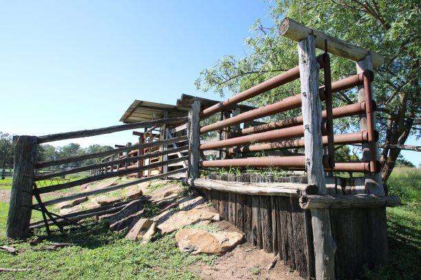 553 Airport Road, Monto  For Sale by Farmbuy.com - image 15
