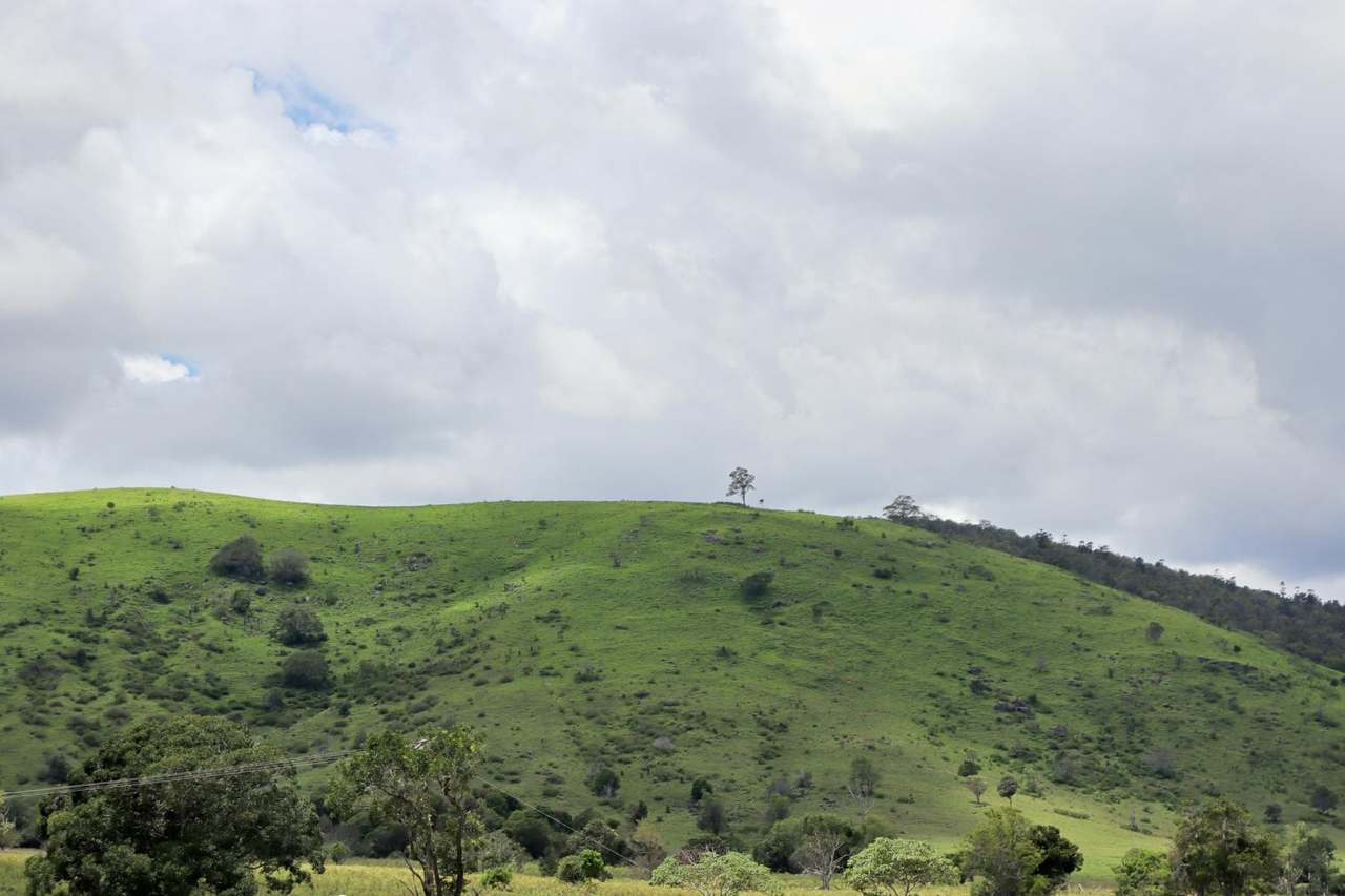 517 Kanyan Road, THEEBINE For Sale by Farmbuy.com - image 10