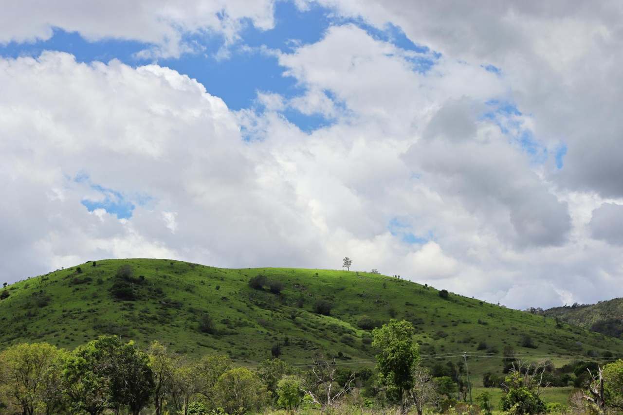 517 Kanyan Road, THEEBINE For Sale by Farmbuy.com - image 9