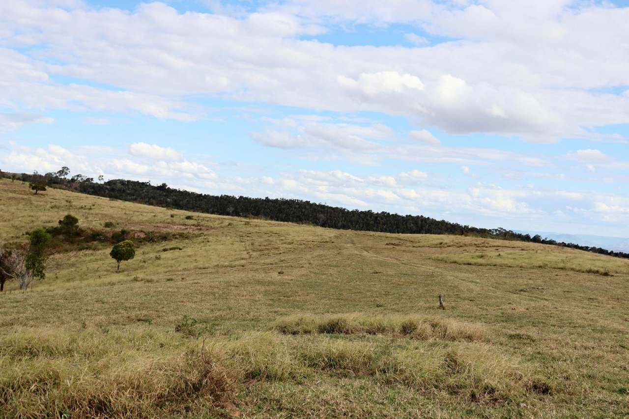 517 Kanyan Road, THEEBINE For Sale by Farmbuy.com - image 22