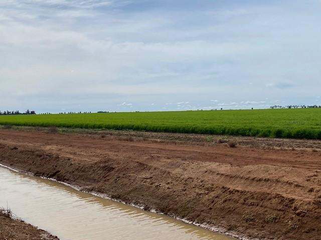 105 McLarty  Road, Coleambally Sold by Farmbuy.com - image 2