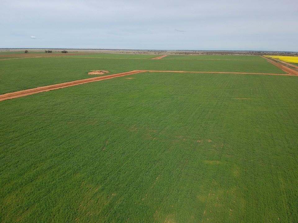 105 McLarty  Road, Coleambally Sold by Farmbuy.com - image 4
