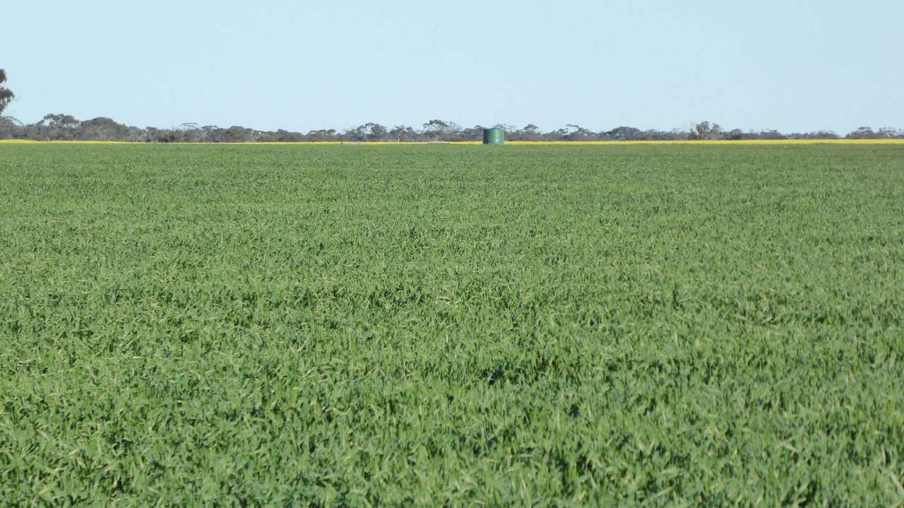 ***Under Offer***829 Red Bluff Road, Bordertown Sold by Farmbuy.com - image 7