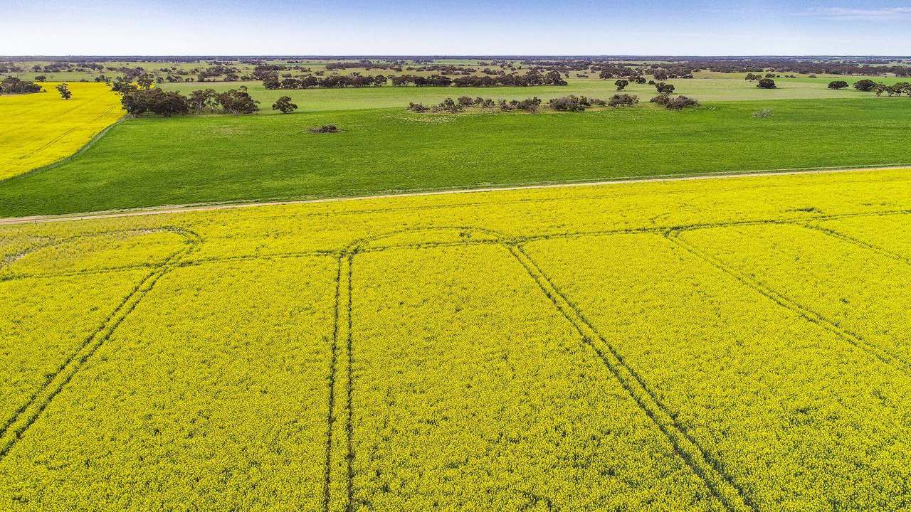 ***Under Offer***829 Red Bluff Road, Bordertown Sold by Farmbuy.com - image 12