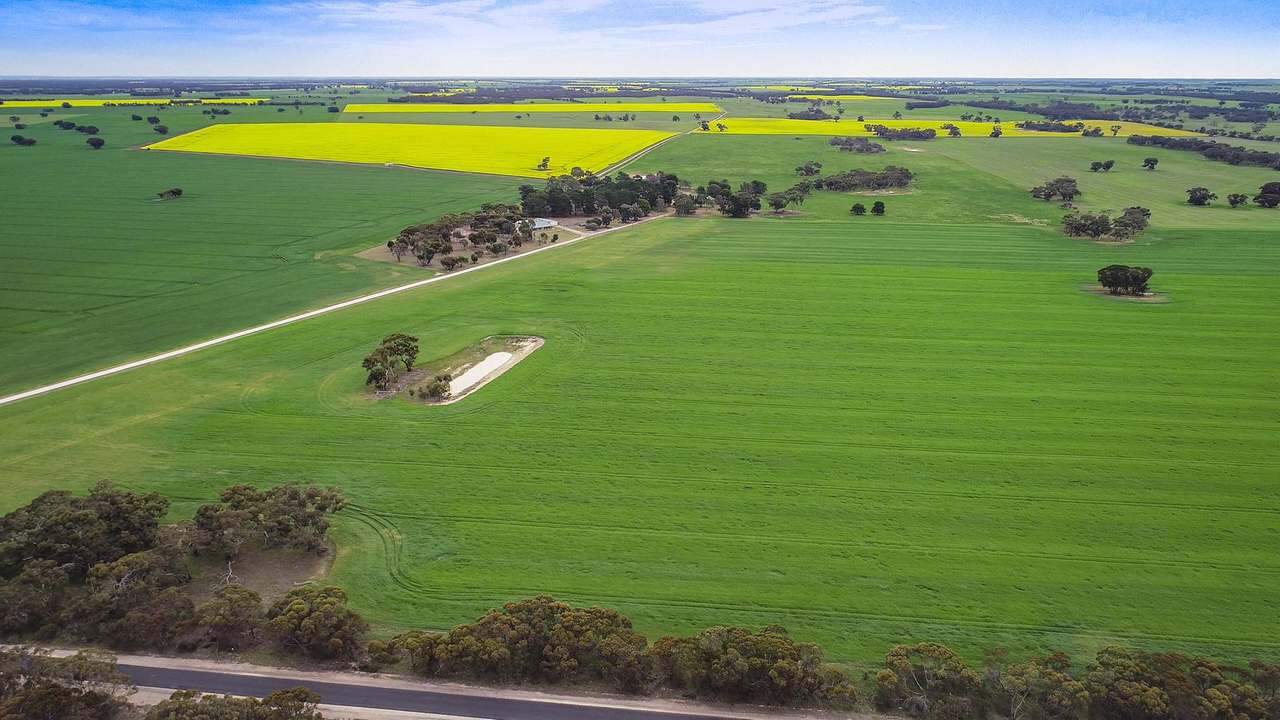 ***Under Offer***829 Red Bluff Road, Bordertown Sold by Farmbuy.com - image 3