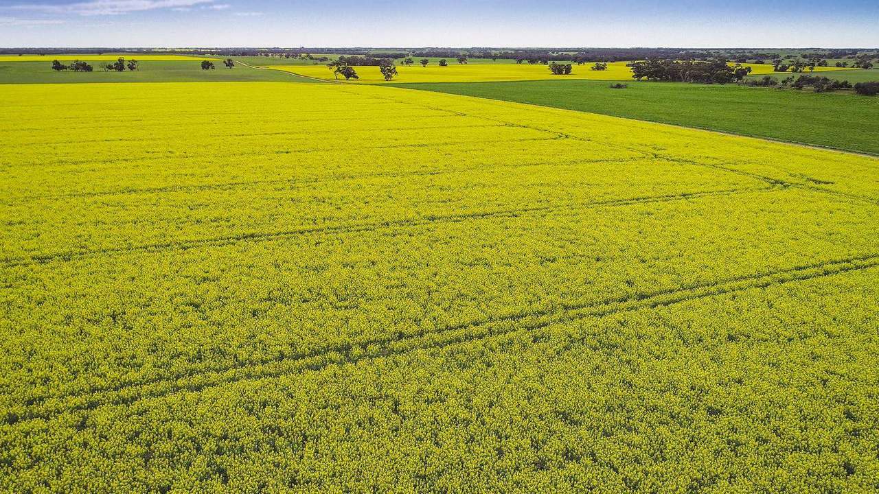 ***Under Offer***829 Red Bluff Road, Bordertown Sold by Farmbuy.com - image 2