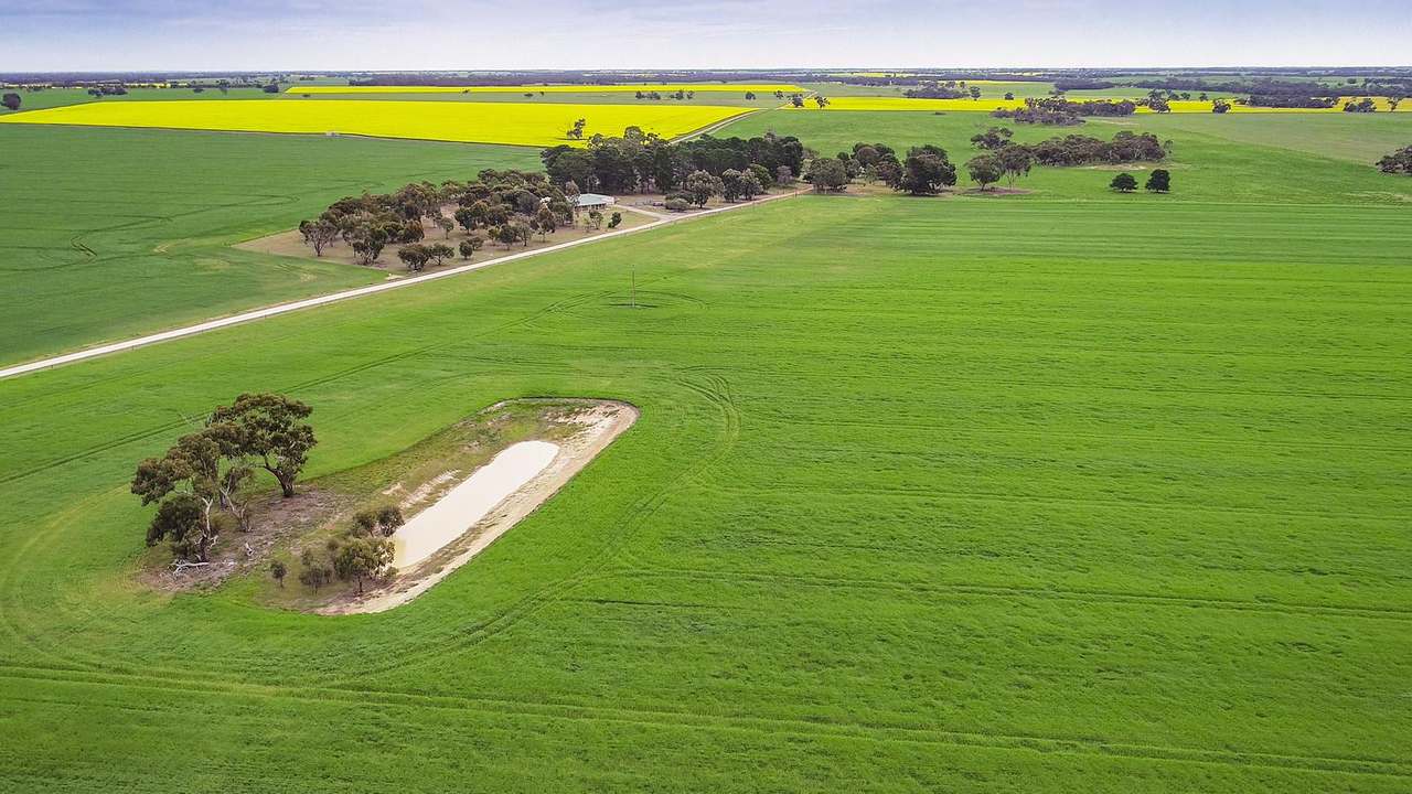 ***Under Offer***829 Red Bluff Road, Bordertown Sold by Farmbuy.com - image 11