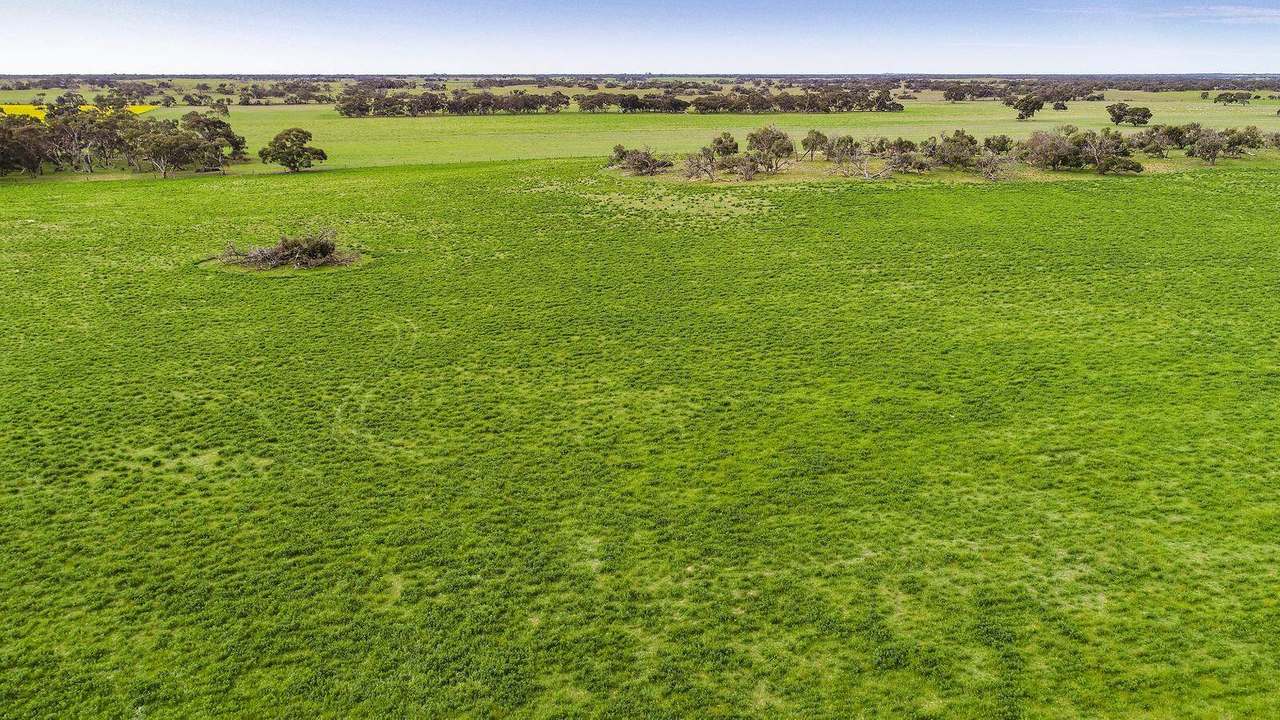 ***Under Offer***829 Red Bluff Road, Bordertown Sold by Farmbuy.com - image 14