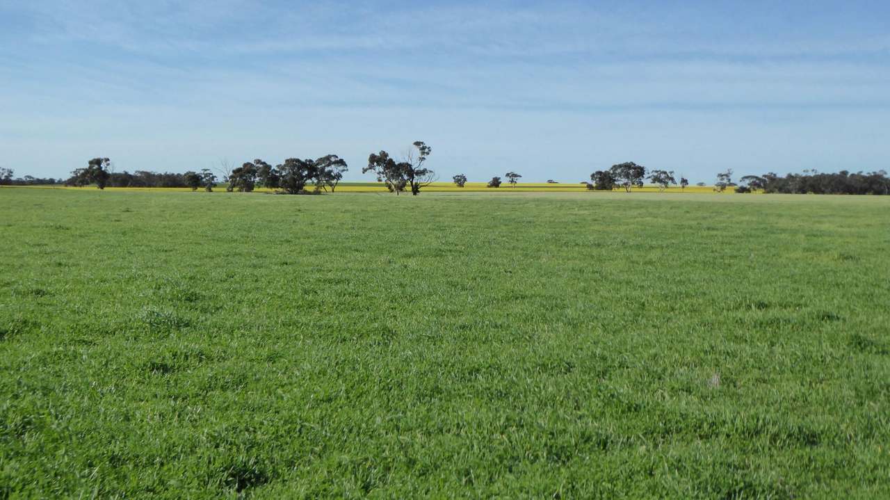 ***Under Offer***829 Red Bluff Road, Bordertown Sold by Farmbuy.com - image 21