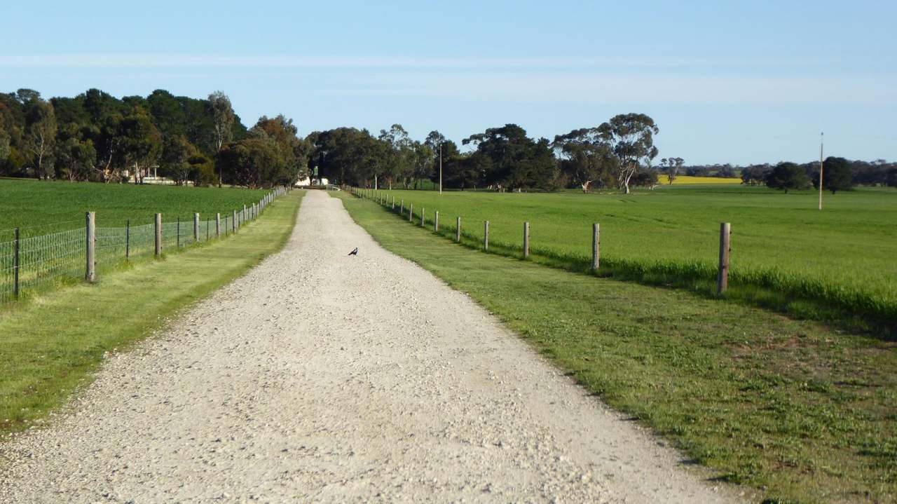 ***Under Offer***829 Red Bluff Road, Bordertown Sold by Farmbuy.com - image 29