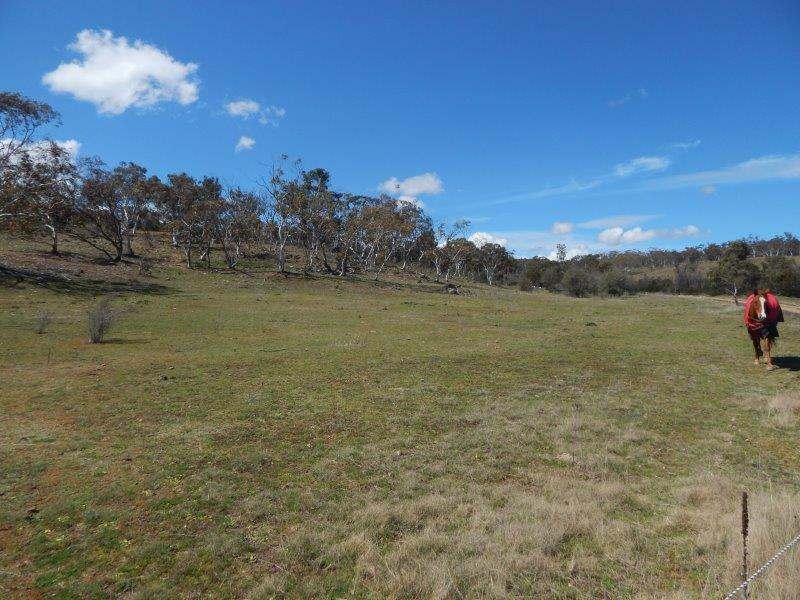 957 Beresford Road, Rose Valley Sold by Farmbuy.com - image 1