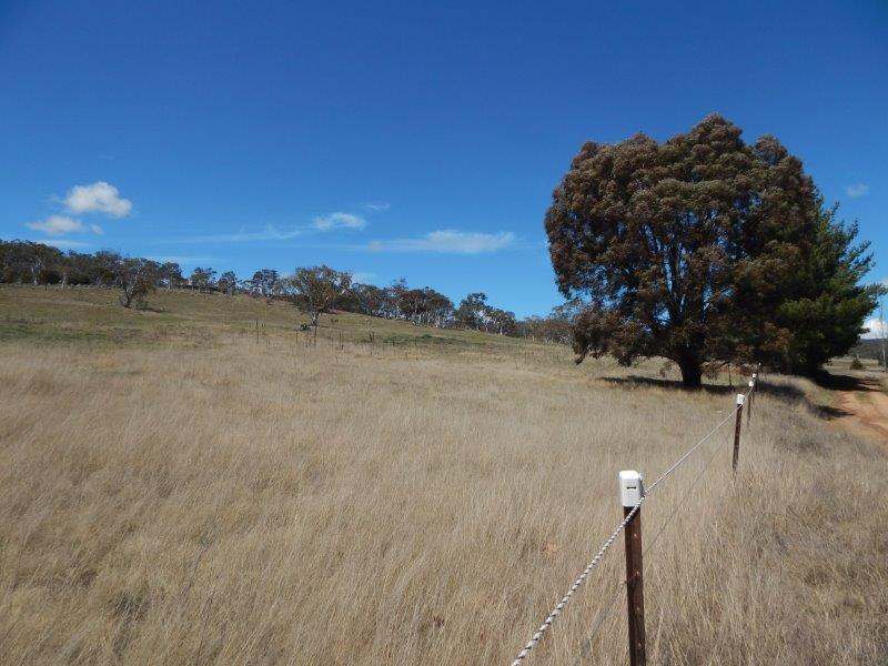 957 Beresford Road, Rose Valley Sold by Farmbuy.com - image 2