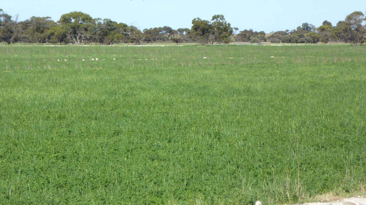 10 Siding Road , Coombe ***UNDER OFFER***  Sold by Farmbuy.com - image 22