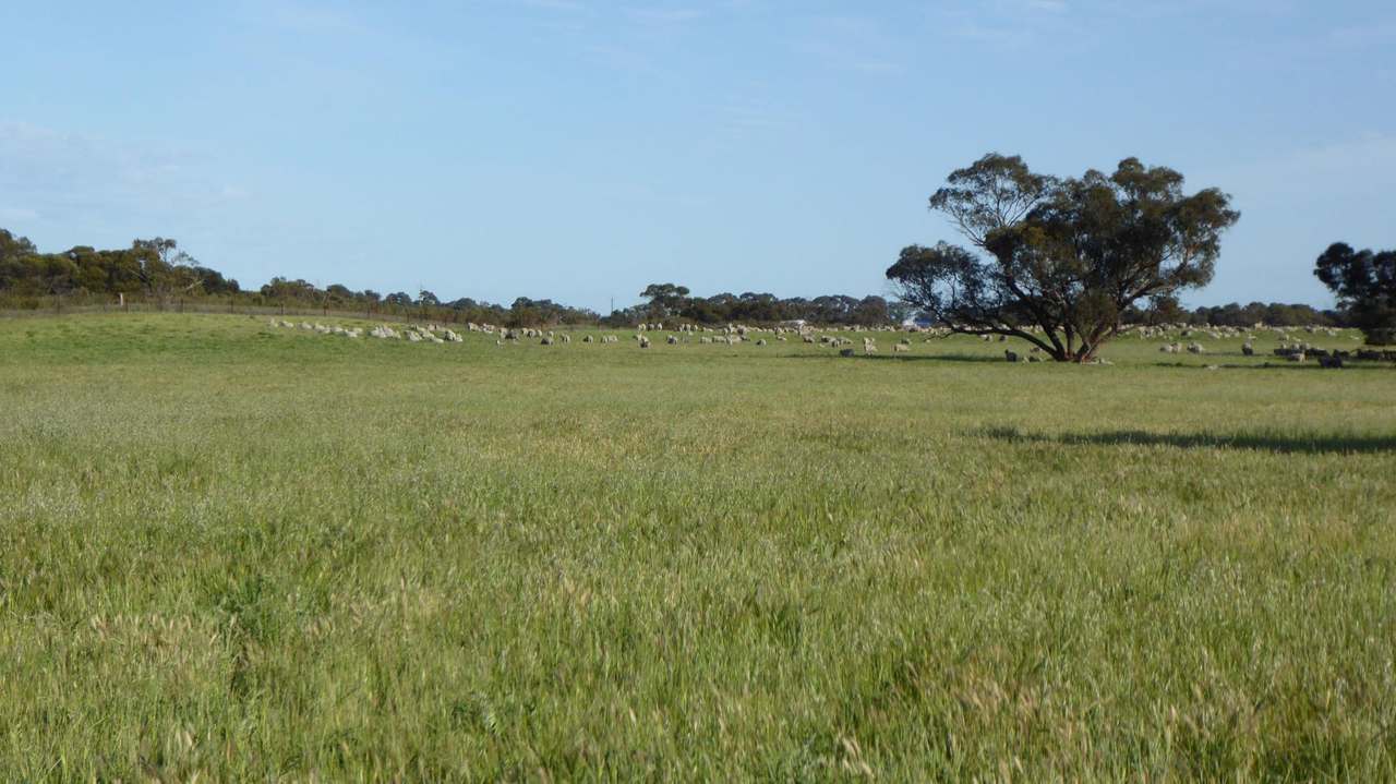 10 Siding Road , Coombe ***UNDER OFFER***  Sold by Farmbuy.com - image 10