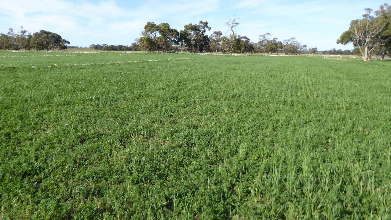 10 Siding Road , Coombe ***UNDER OFFER***  Sold by Farmbuy.com - image 15