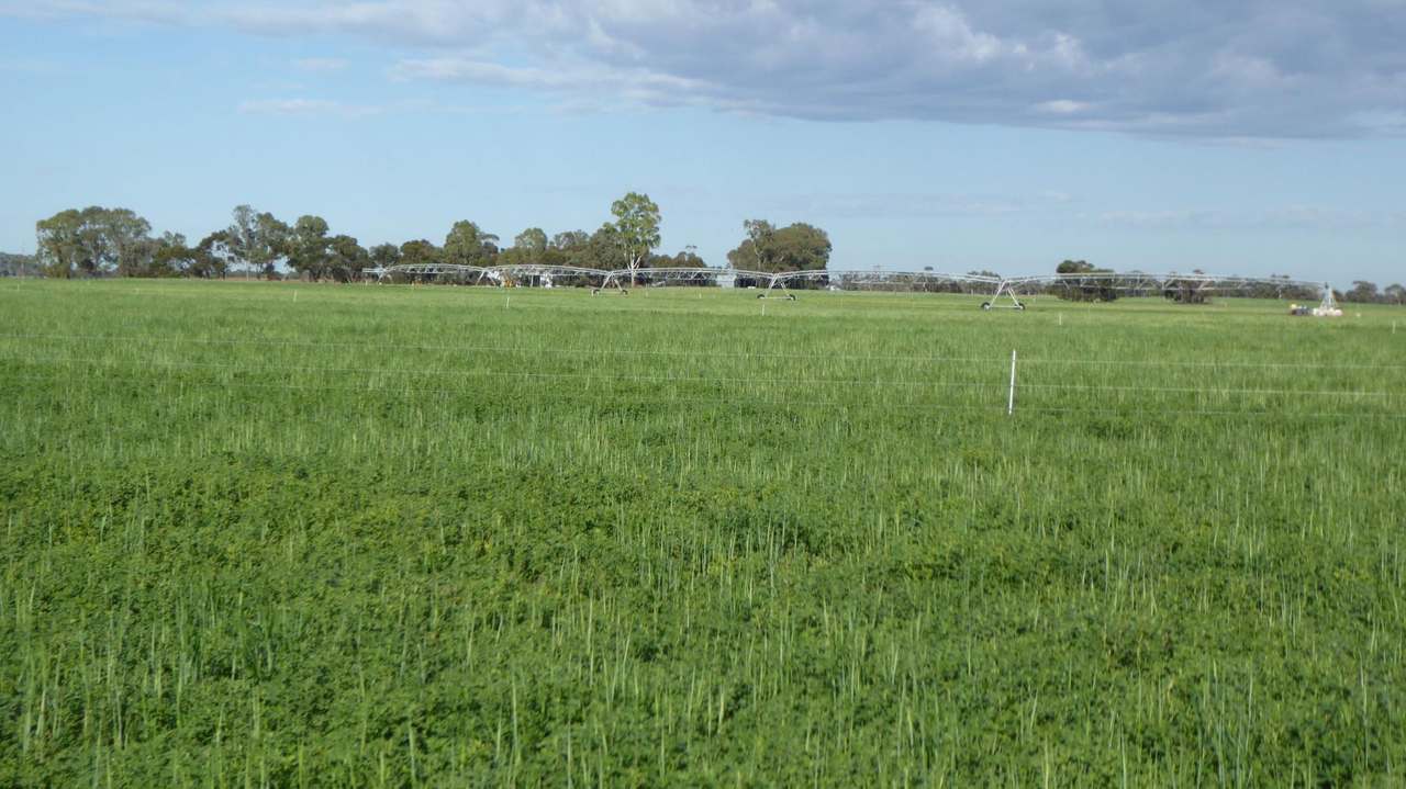 10 Siding Road , Coombe ***UNDER OFFER***  Sold by Farmbuy.com - image 21