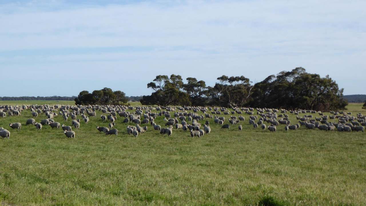 10 Siding Road , Coombe ***UNDER OFFER***  Sold by Farmbuy.com - image 17