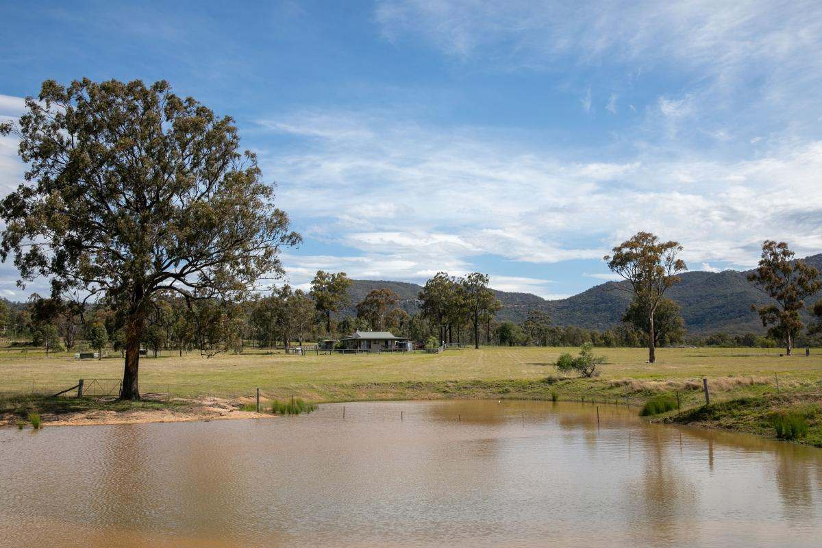 355f Redmanvale Road, Jerrys Plains Sold by Farmbuy.com - image 20