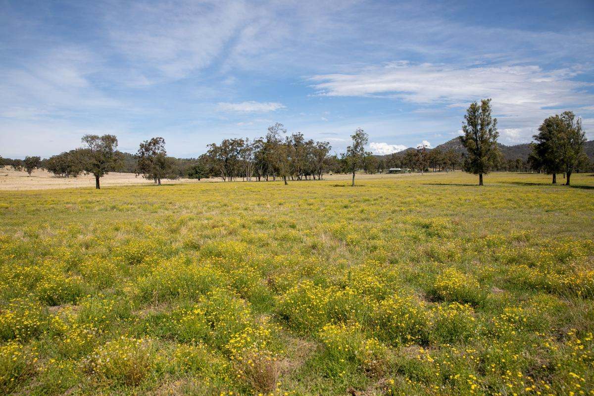 355f Redmanvale Road, Jerrys Plains Sold by Farmbuy.com - image 19