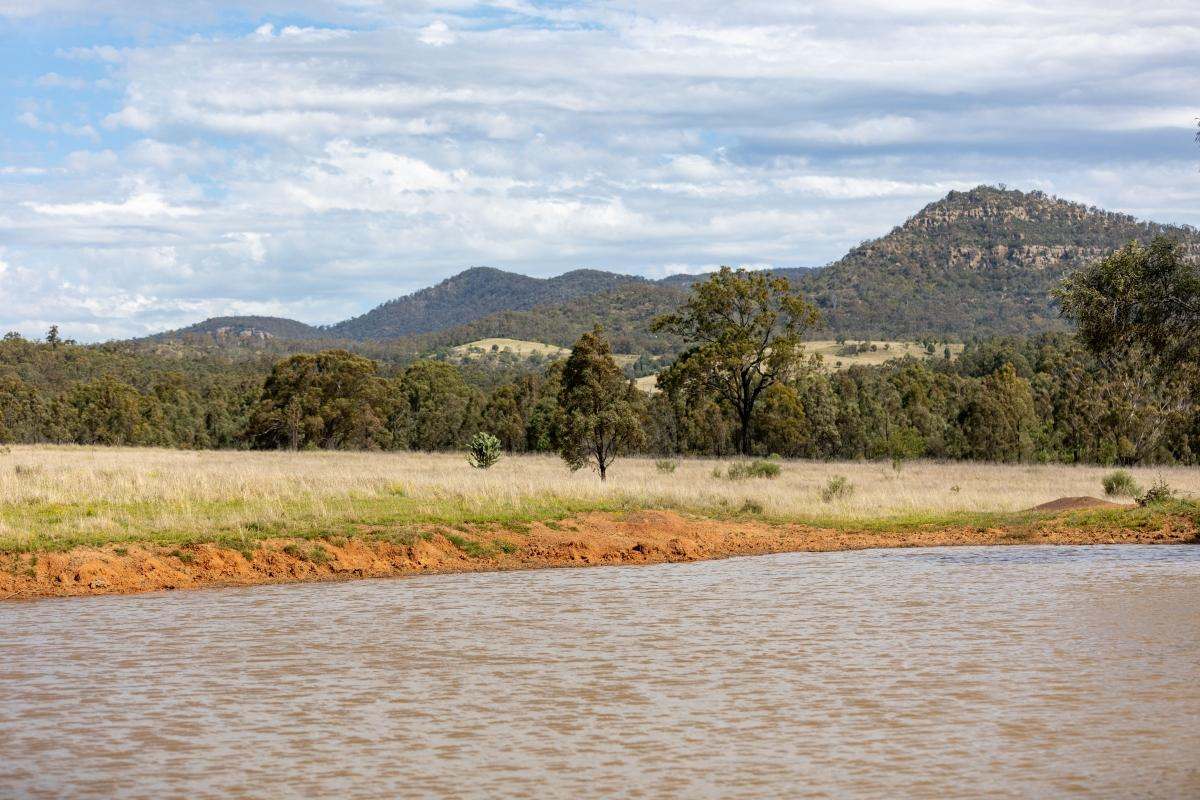 355f Redmanvale Road, Jerrys Plains Sold by Farmbuy.com - image 24