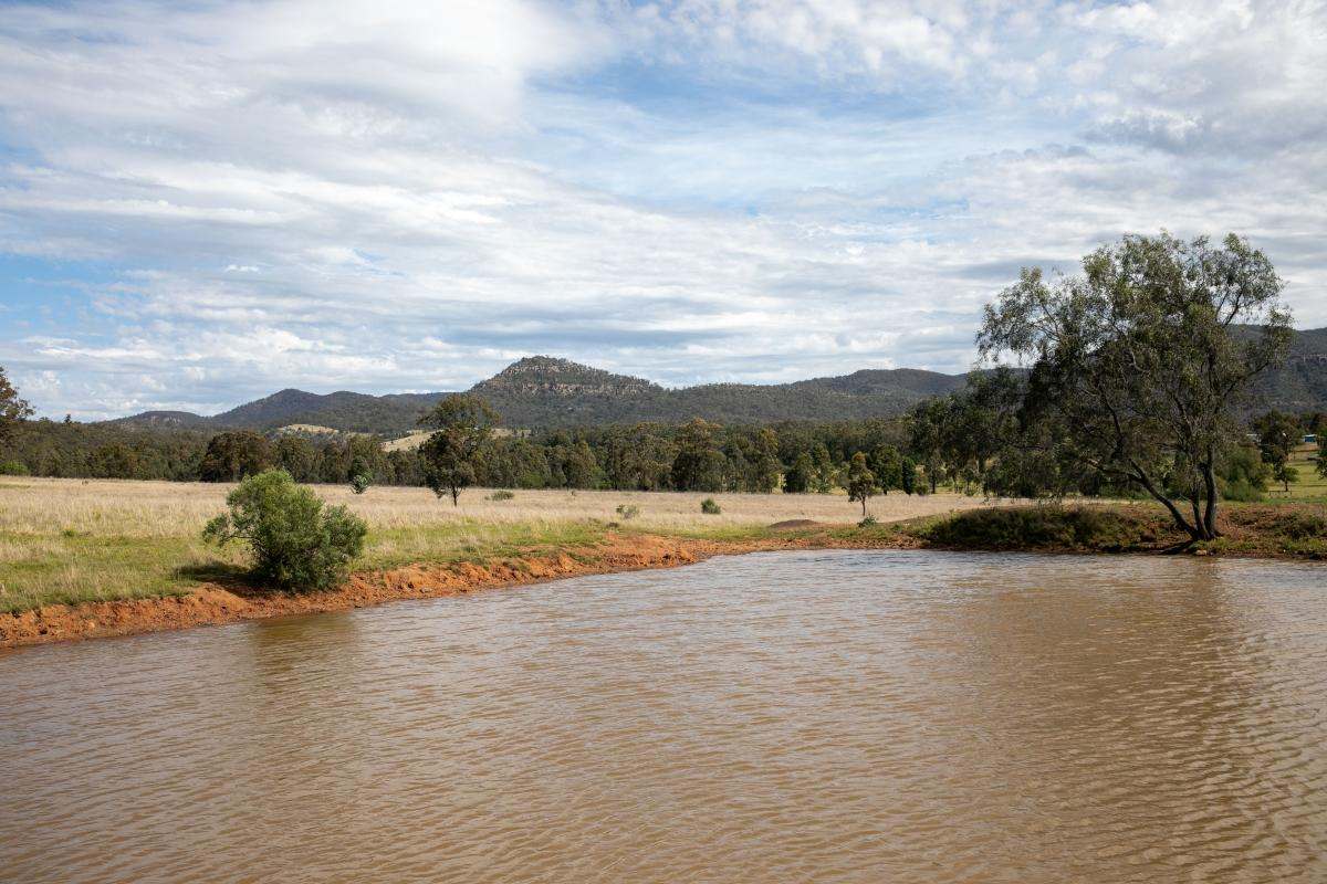 355f Redmanvale Road, Jerrys Plains Sold by Farmbuy.com - image 22