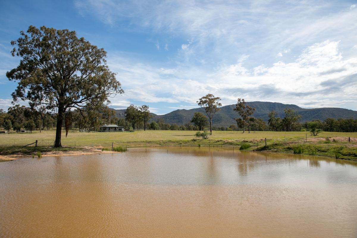 355f Redmanvale Road, Jerrys Plains Sold by Farmbuy.com - image 11
