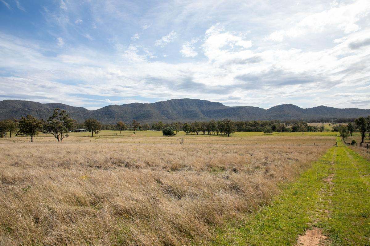 355f Redmanvale Road, Jerrys Plains Sold by Farmbuy.com - image 21