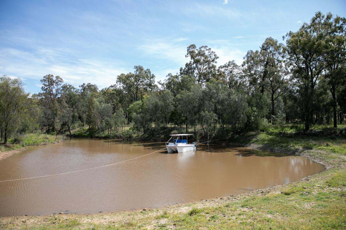 355f Redmanvale Road, Jerrys Plains Sold by Farmbuy.com - image 18