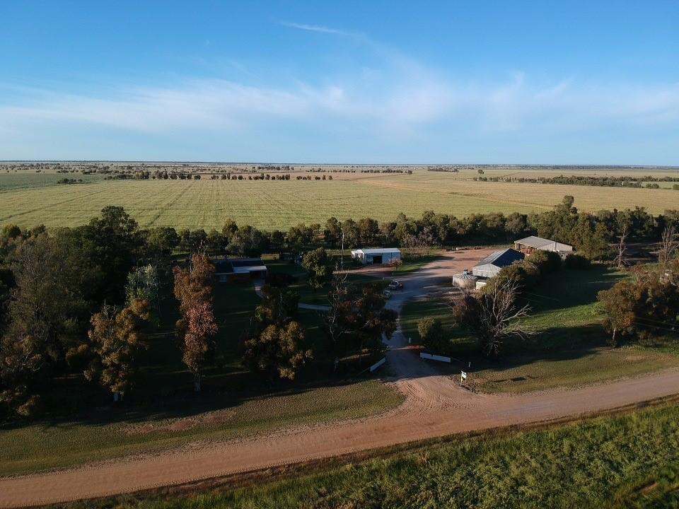 Farm 636, McLarty Road, Coleambally Sold by Farmbuy.com - image 19