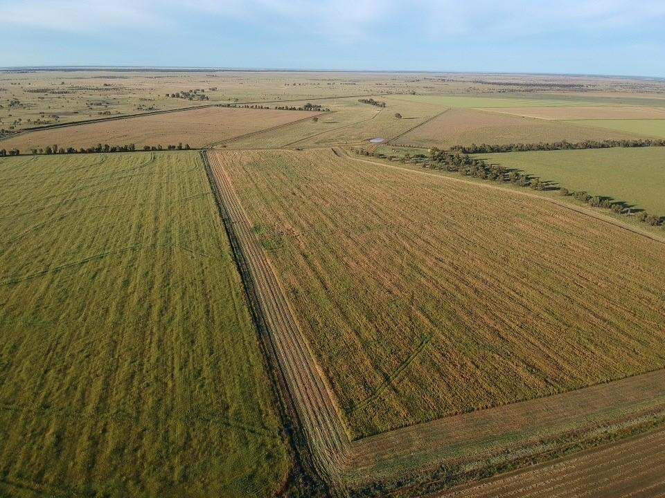 Farm 636, McLarty Road, Coleambally Sold by Farmbuy.com - image 16