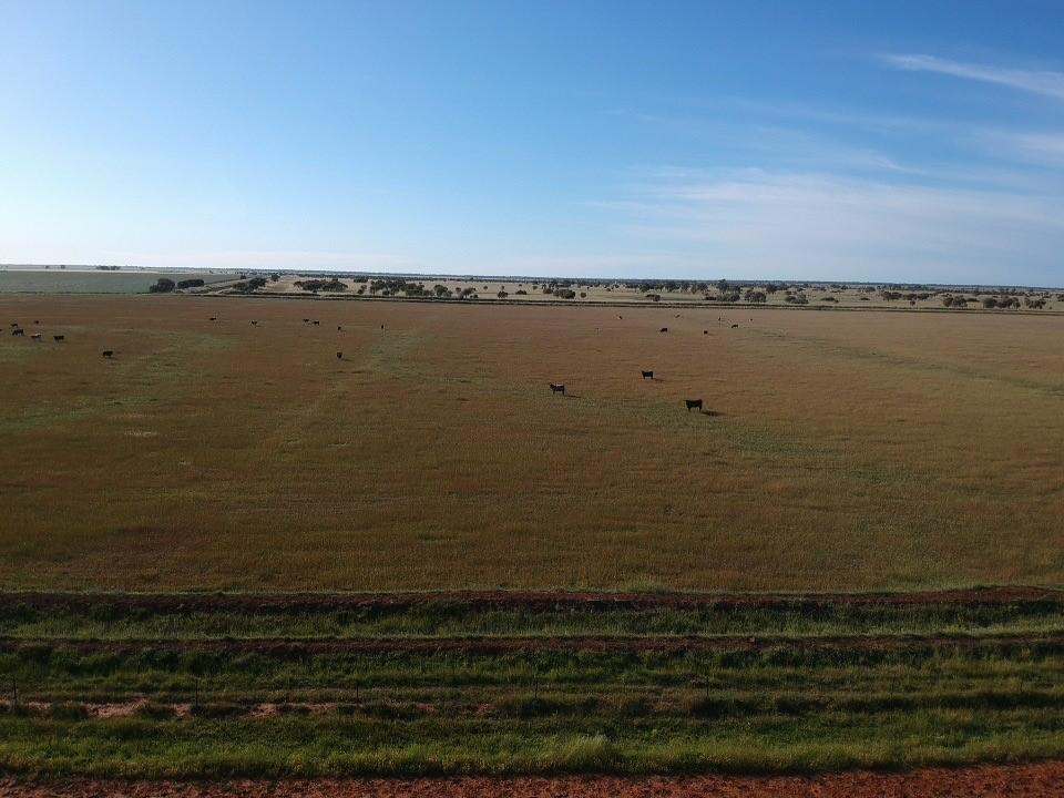 Farm 636, McLarty Road, Coleambally Sold by Farmbuy.com - image 6